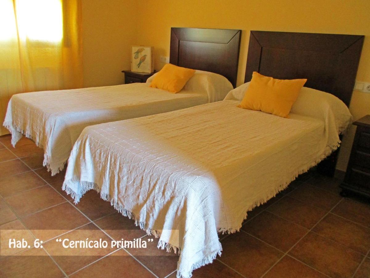 El Nidal Casas de Don Pedro